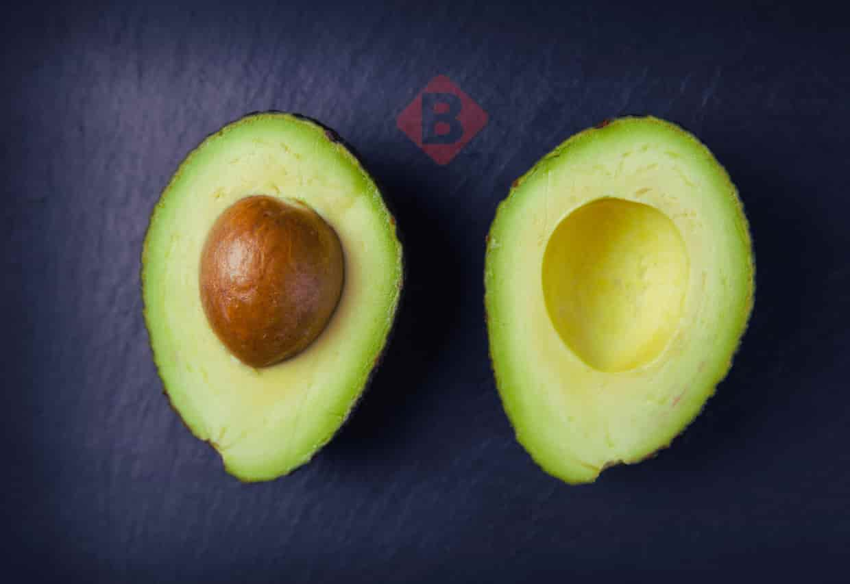 Avocado