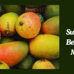 10 Surprising Benefits of Mango